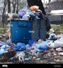 Best Yard Waste Removal  in Ravenna, MI