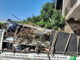 Best Shed Removal  in Ravenna, MI